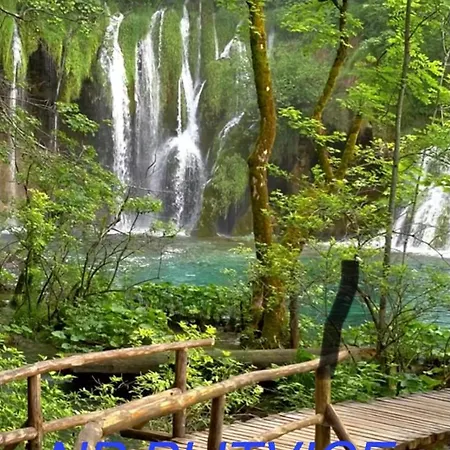 Rajna (adults Only) 公寓 扎达尔
